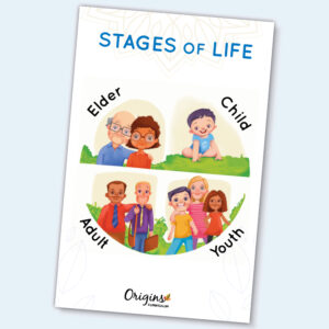 Stages of Life